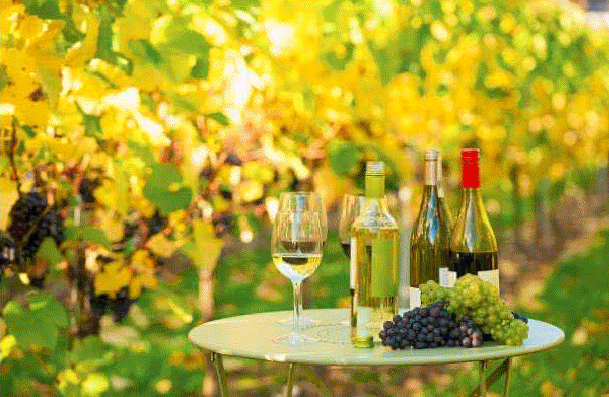 PARKER: 論氮氣的自我修養